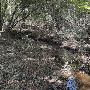 Photo #29 of Off Dahlia Road, Emporia, VA 25.4 acres
