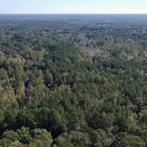 Photo #13 of Off Bunnlevel Erwin Rd, Bunnlevel, NC 41.4 acres