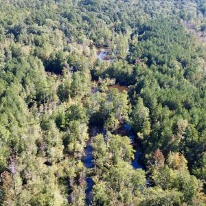 Photo #14 of Off Bunnlevel Erwin Rd, Bunnlevel, NC 41.4 acres