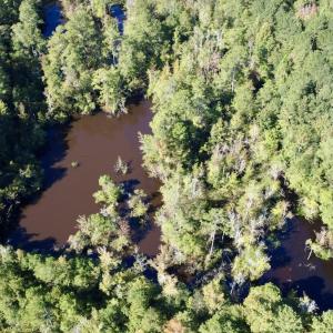 Photo #15 of Off Bunnlevel Erwin Rd, Bunnlevel, NC 41.4 acres