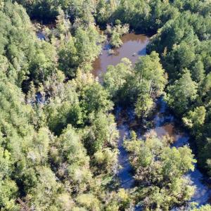 Photo #16 of Off Bunnlevel Erwin Rd, Bunnlevel, NC 41.4 acres