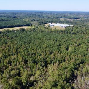 Photo #18 of Off Bunnlevel Erwin Rd, Bunnlevel, NC 41.4 acres