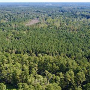 Photo #21 of Off Bunnlevel Erwin Rd, Bunnlevel, NC 41.4 acres