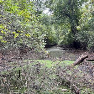 Photo #24 of Off Bunnlevel Erwin Rd, Bunnlevel, NC 41.4 acres