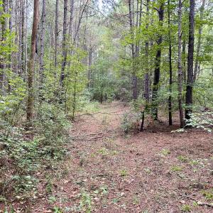 Photo #32 of Off Bunnlevel Erwin Rd, Bunnlevel, NC 41.4 acres