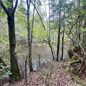 Photo #33 of Off Bunnlevel Erwin Rd, Bunnlevel, NC 41.4 acres