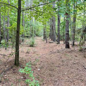 Photo #34 of Off Bunnlevel Erwin Rd, Bunnlevel, NC 41.4 acres