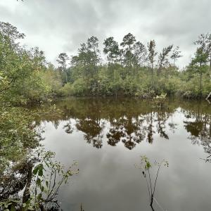Photo #35 of Off Bunnlevel Erwin Rd, Bunnlevel, NC 41.4 acres