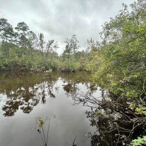 Photo #36 of Off Bunnlevel Erwin Rd, Bunnlevel, NC 41.4 acres