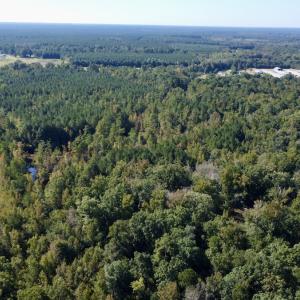 Photo #7 of Off Bunnlevel Erwin Rd, Bunnlevel, NC 41.4 acres