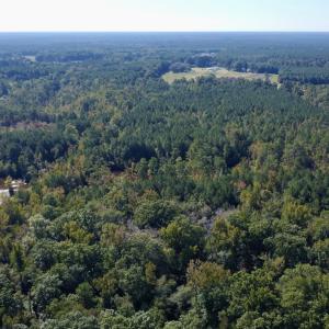 Photo #8 of Off Bunnlevel Erwin Rd, Bunnlevel, NC 41.4 acres