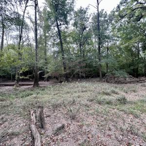 Photo #41 of Off Bunnlevel Erwin Rd, Bunnlevel, NC 41.4 acres