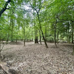 Photo #42 of Off Bunnlevel Erwin Rd, Bunnlevel, NC 41.4 acres
