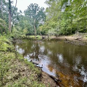 Photo #44 of Off Bunnlevel Erwin Rd, Bunnlevel, NC 41.4 acres