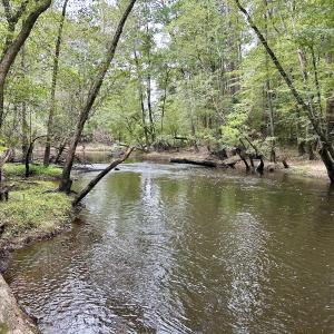 Photo #47 of Off Bunnlevel Erwin Rd, Bunnlevel, NC 41.4 acres