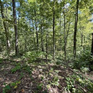 Photo #12 of 240 old Stone Dr Lot 47, Crumpler, NC 5.3 acres