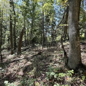Photo #14 of 240 old Stone Dr Lot 47, Crumpler, NC 5.3 acres
