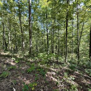 Photo #15 of 240 old Stone Dr Lot 47, Crumpler, NC 5.3 acres