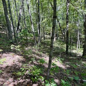 Photo #26 of 240 old Stone Dr Lot 47, Crumpler, NC 5.3 acres