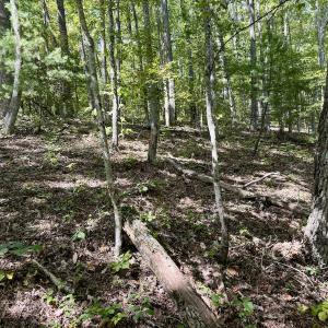 Photo #29 of 240 old Stone Dr Lot 47, Crumpler, NC 5.3 acres