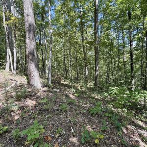 Photo #30 of 240 old Stone Dr Lot 47, Crumpler, NC 5.3 acres