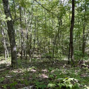 Photo #34 of 240 old Stone Dr Lot 47, Crumpler, NC 5.3 acres