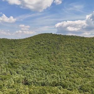 Photo #35 of 240 old Stone Dr Lot 47, Crumpler, NC 5.3 acres