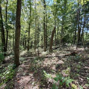 Photo #10 of 240 old Stone Dr Lot 47, Crumpler, NC 5.3 acres