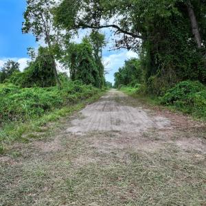 Photo #11 of Off E Waterway Dr, Belhaven, NC 60.0 acres