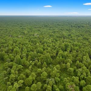 Photo #12 of Off E Waterway Dr, Belhaven, NC 60.0 acres