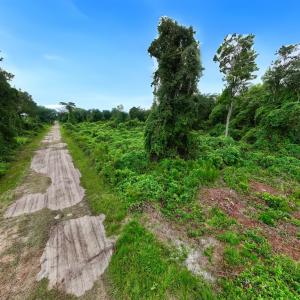 Photo #13 of Off E Waterway Dr, Belhaven, NC 60.0 acres