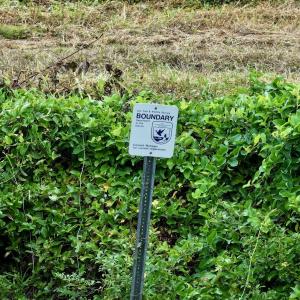 Photo #16 of Off E Waterway Dr, Belhaven, NC 60.0 acres