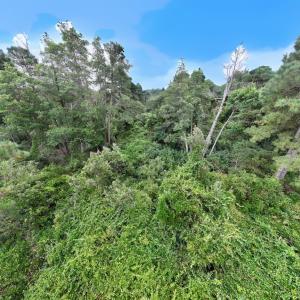 Photo #18 of Off E Waterway Dr, Belhaven, NC 60.0 acres