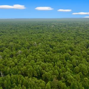 Photo #19 of Off E Waterway Dr, Belhaven, NC 60.0 acres