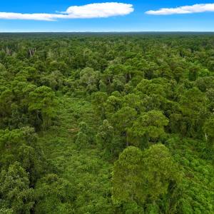 Photo #20 of Off E Waterway Dr, Belhaven, NC 60.0 acres