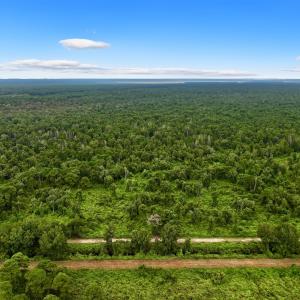 Photo #1 of Off E Waterway Dr, Belhaven, NC 60.0 acres