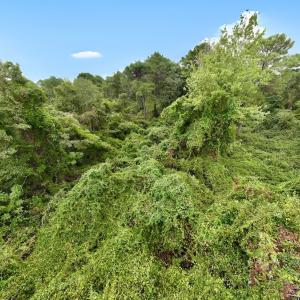Photo #21 of Off E Waterway Dr, Belhaven, NC 60.0 acres