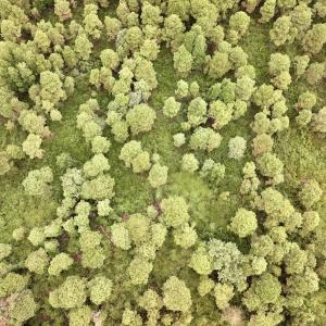 Photo #7 of Off E Waterway Dr, Belhaven, NC 60.0 acres