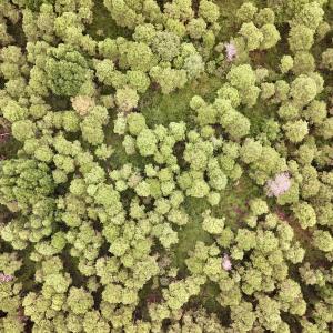 Photo #8 of Off E Waterway Dr, Belhaven, NC 60.0 acres