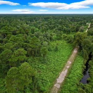 Photo #9 of Off E Waterway Dr, Belhaven, NC 60.0 acres