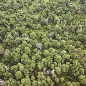 Photo #10 of Off E Waterway Dr, Belhaven, NC 60.0 acres