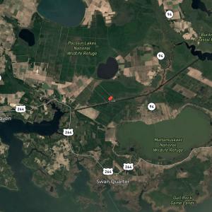 Photo #23 of Off E Waterway Dr, Belhaven, NC 60.0 acres