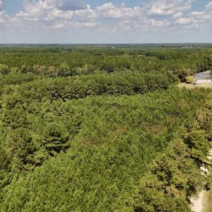 Photo #9 of Off Bessie Ln, Lumberton, NC 4.2 acres