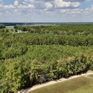 Photo #10 of Off Bessie Ln, Lumberton, NC 4.2 acres
