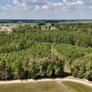 Photo #11 of Off Bessie Ln, Lumberton, NC 4.2 acres