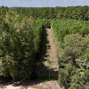 Photo #12 of Off Bessie Ln, Lumberton, NC 4.2 acres