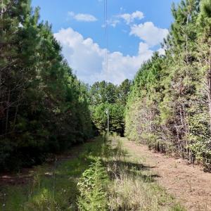 Photo #15 of Off Bessie Ln, Lumberton, NC 4.2 acres