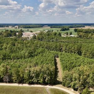 Photo #1 of Off Bessie Ln, Lumberton, NC 4.2 acres