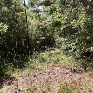 Photo #19 of Off Bessie Ln, Lumberton, NC 4.2 acres