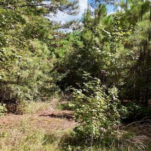 Photo #22 of Off Bessie Ln, Lumberton, NC 4.2 acres